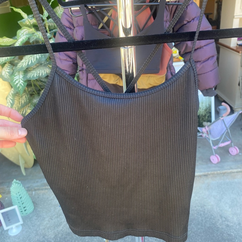 Senita CropTop
